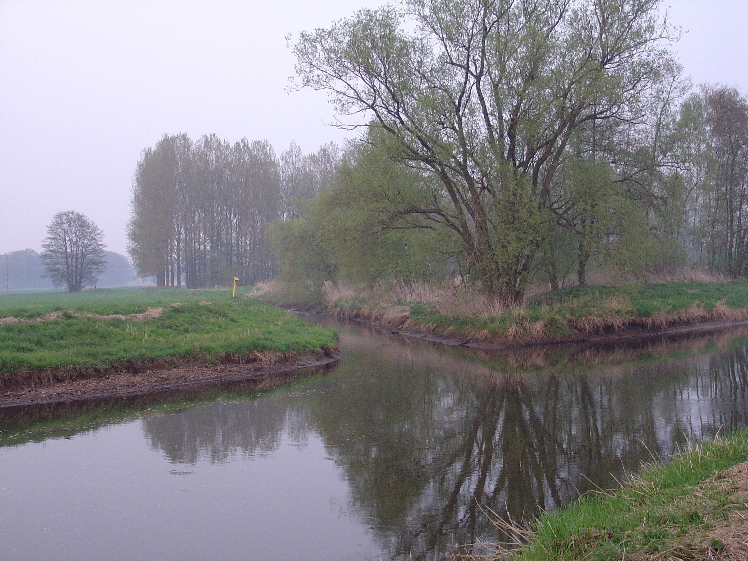 Mündung des Rhedaer Bach in die Ems