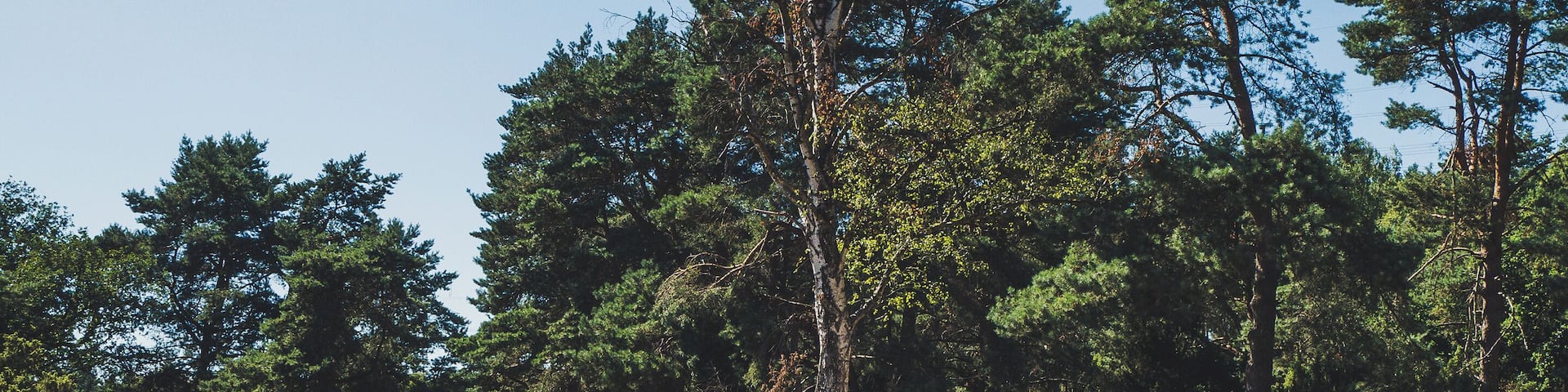 Nature sanctuary Loosenberge.