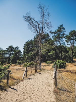 Nature sanctuary Loosenberge.