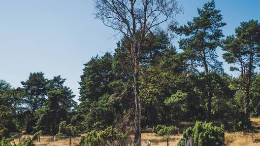 Nature sanctuary Loosenberge.