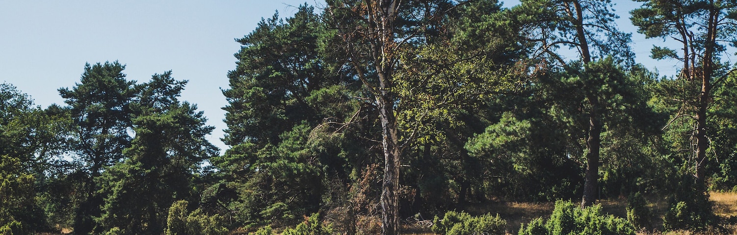 Nature sanctuary Loosenberge.