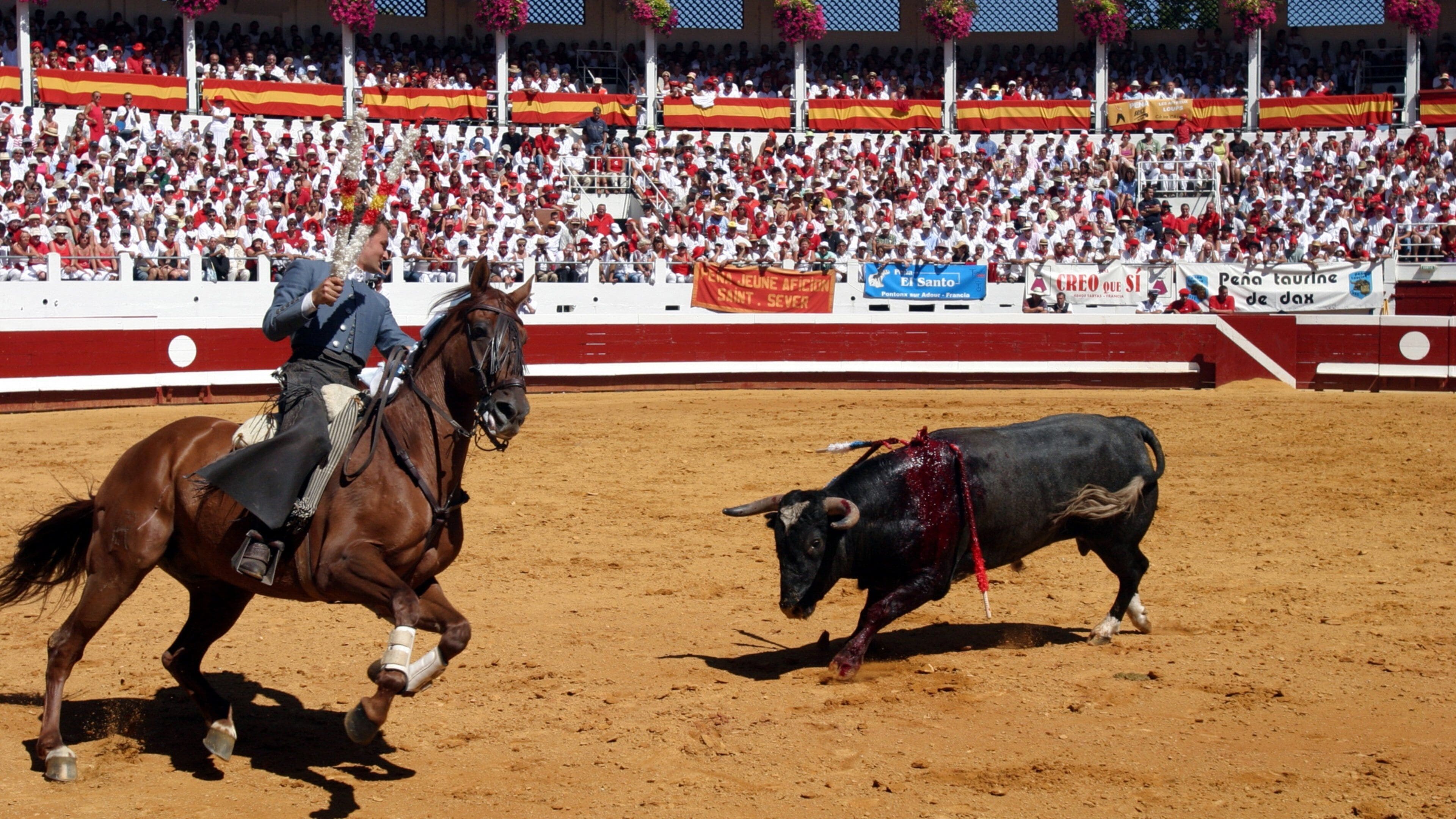 Dax featuring horse riding as well as an individual male