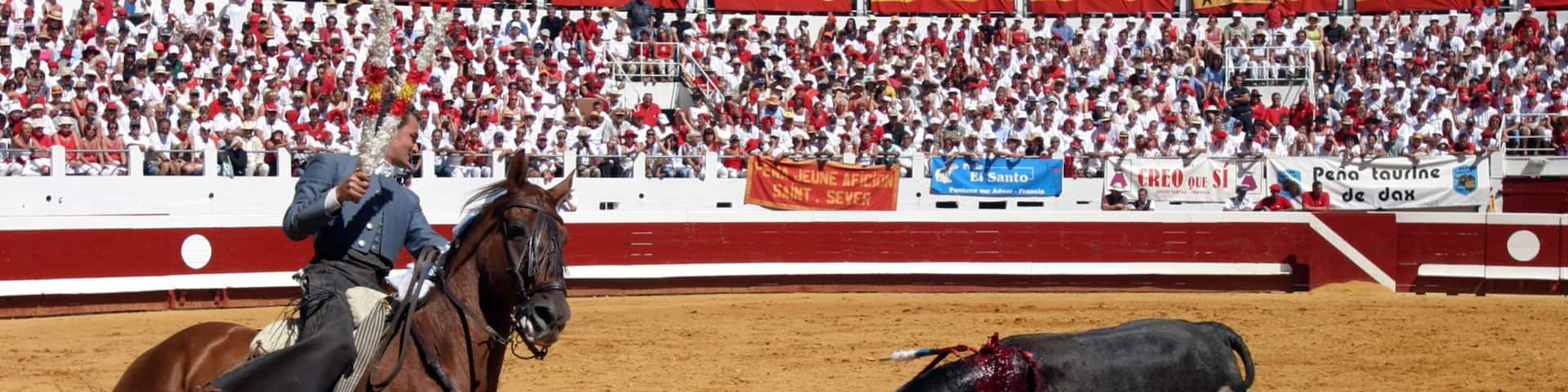 Dax che include giro a cavallo cosi come ragazzo