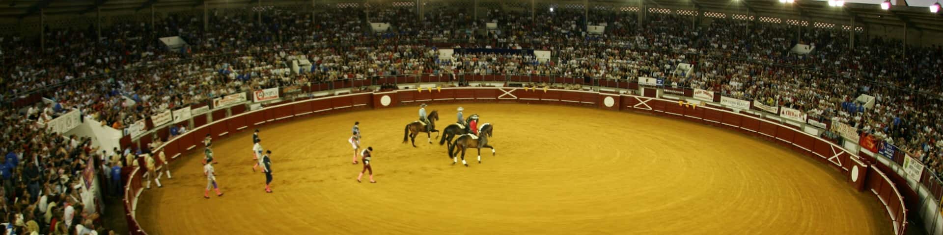 Dax mettant en vedette équitation, arts de la scÚne et épreuve sportive