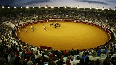 Une arène de corrida remplie de spectateurs.