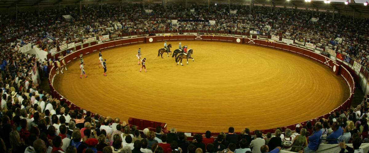 A bullfighting arena with a crowd of spectators.