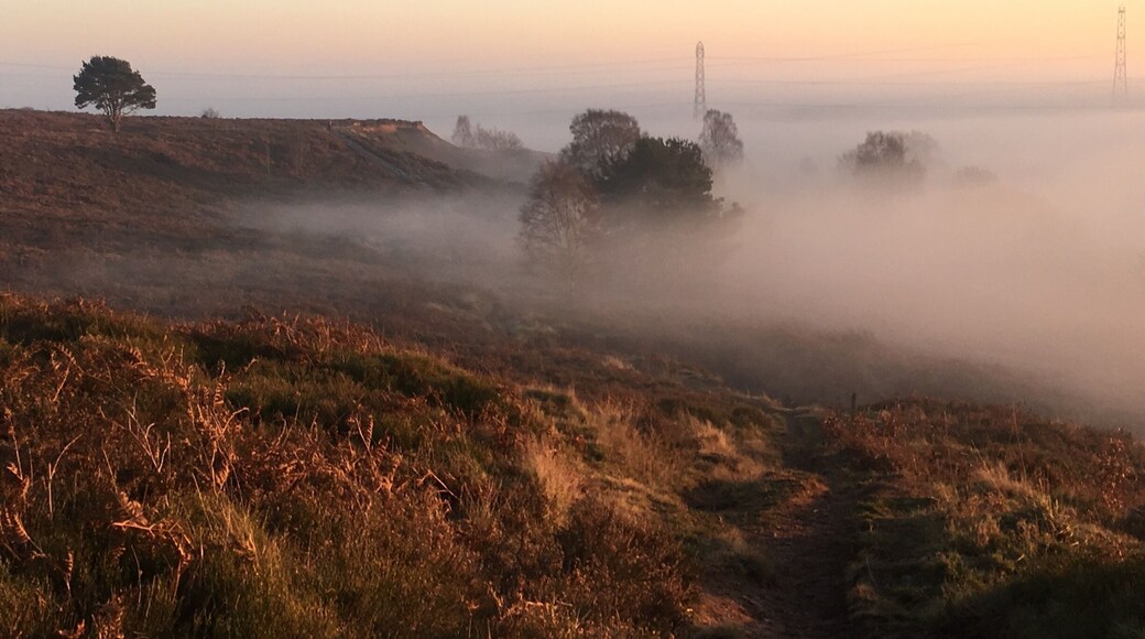 Urban lonely misty Earth - awesome and splendid experience to be up there when Mother's nature gifted to Earth #red #redphoto #travel #England #nature