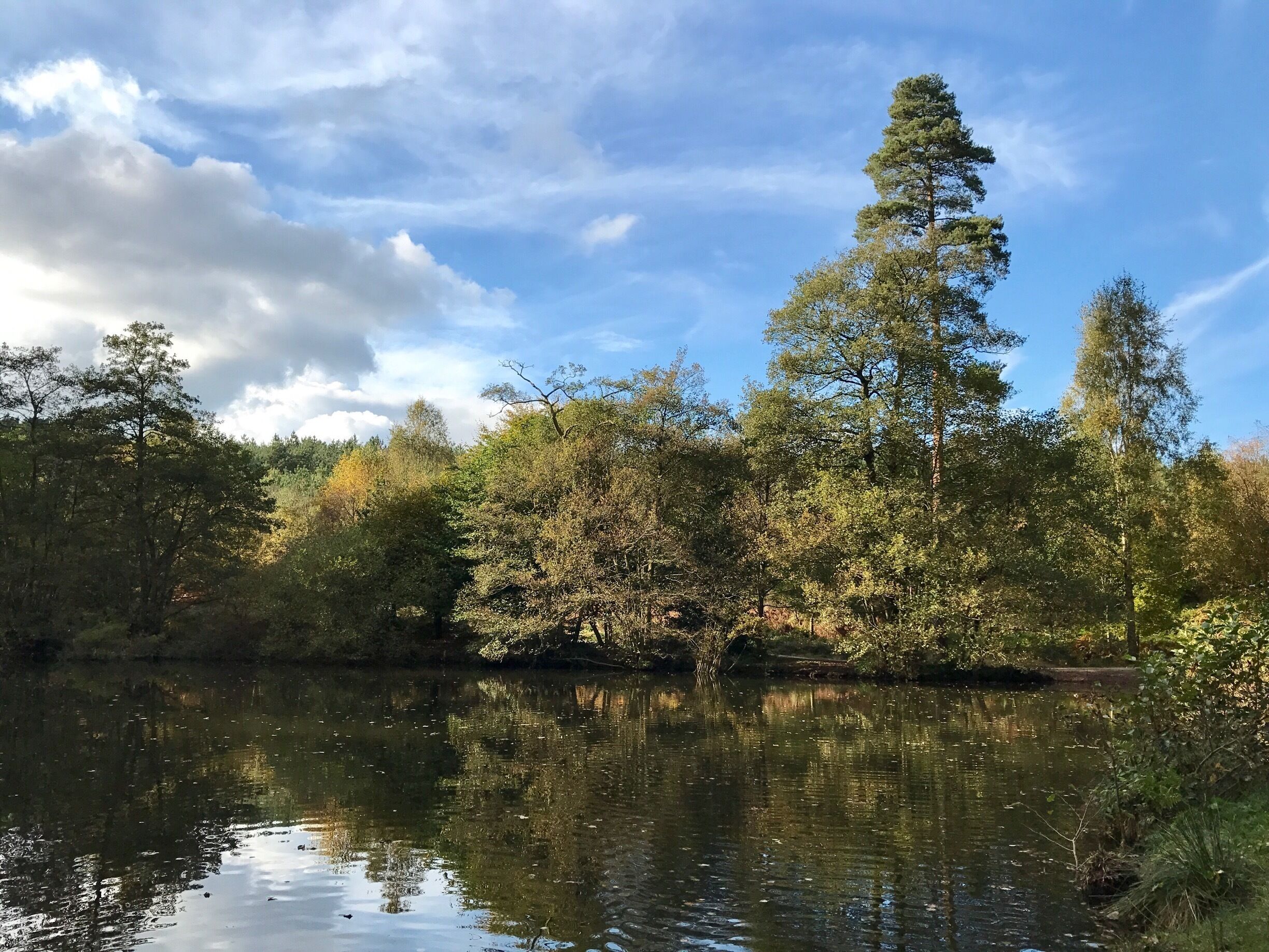 #lake #autumn #birchesvalley #cannockchase