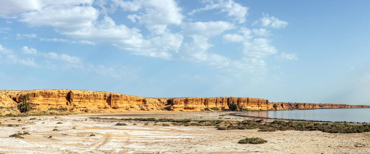 A desert landscape with palm trees, cliffs, and a body of water.