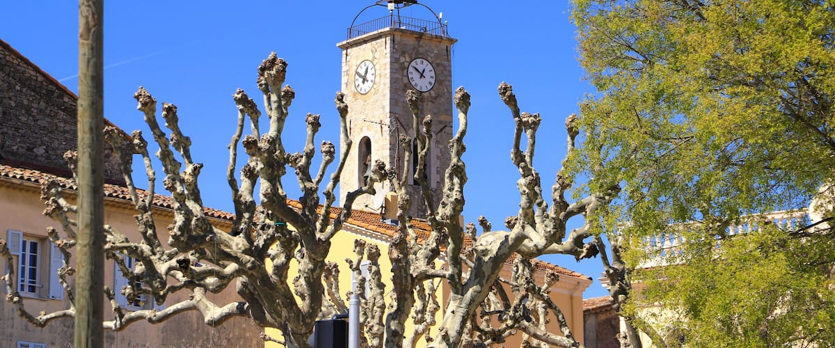 A tower with a clock, surrounded by buildings and a tree with bare branches.