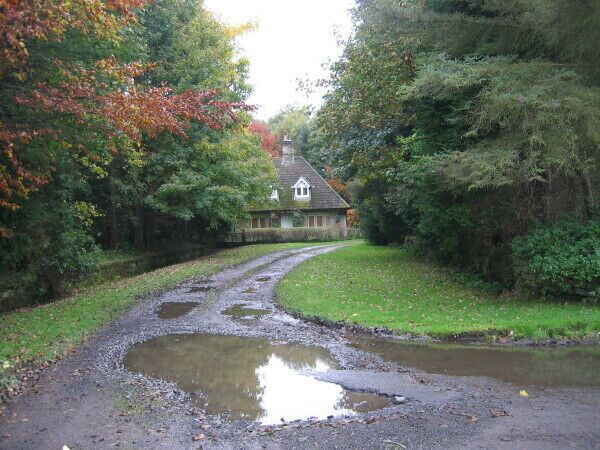 Uma estrada rural com poças, uma casa e árvores ao redor.