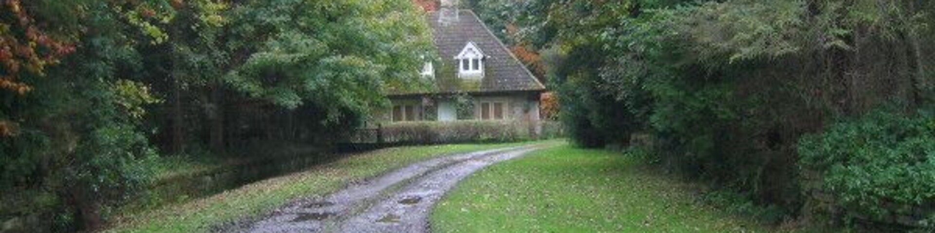 Uma estrada rural com poças, uma casa e árvores ao redor.