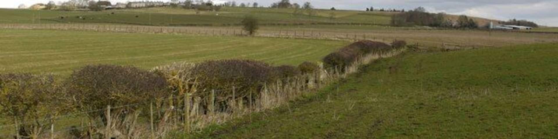 Footpath to Ingoe The footpath follows the hedge then cuts directly over the fields to Ingoe village visible on the hilltop to the left. The farm to the right with the grain silo is Low Hall.