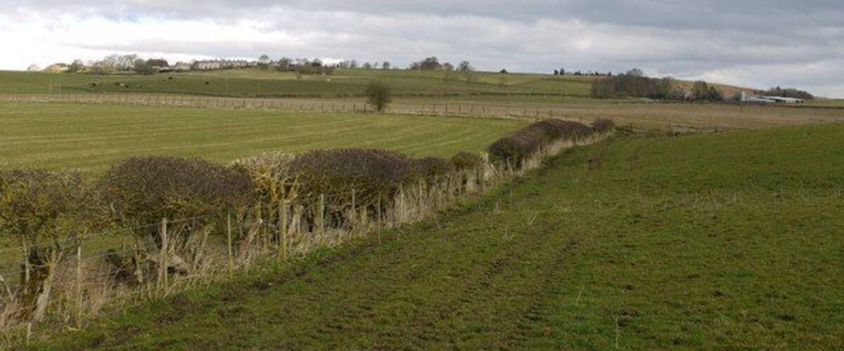 A rural landscape with open fields, a fence, and distant trees under a cloudy sky.