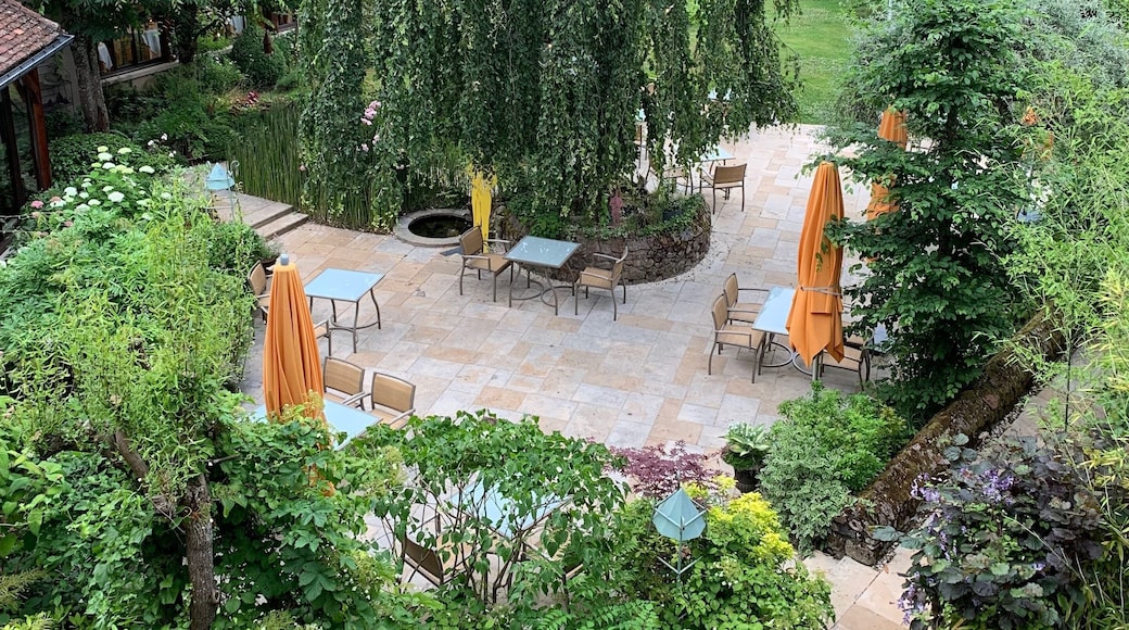 The beautiful gardens at this charming hotel. Set in a tiny village in the middle of France, the nightly rates are very reasonable (less than a standard hotel night in Paris). Large rooms, outdoor pool in the garden, lovely terrace, and helpful staff all make for a great stay.