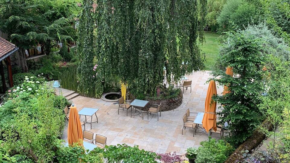 A lush garden with a large weeping willow tree, outdoor seating, and various plants.