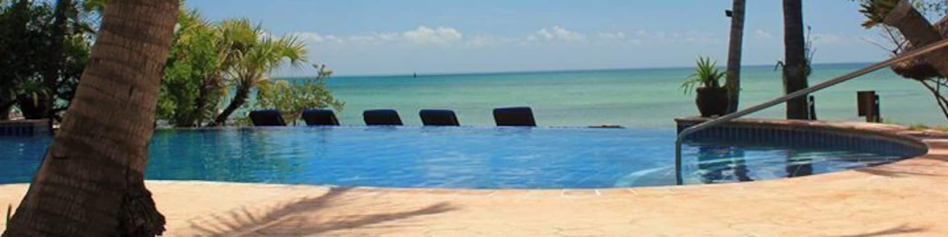 A beach with a pool, palm trees, and the ocean.