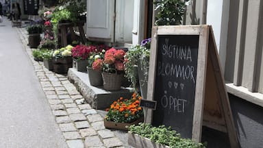 Rua com bancas de flores e uma lousa anunciando 'Sigtuna Blondmor Öppet'.