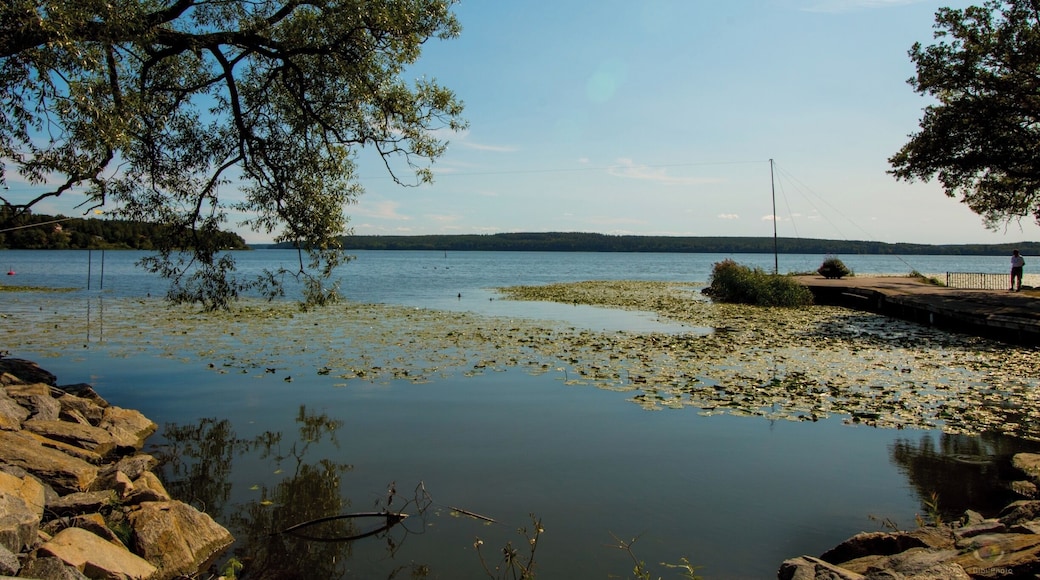 Really nice "village" which was once Sweden's capital