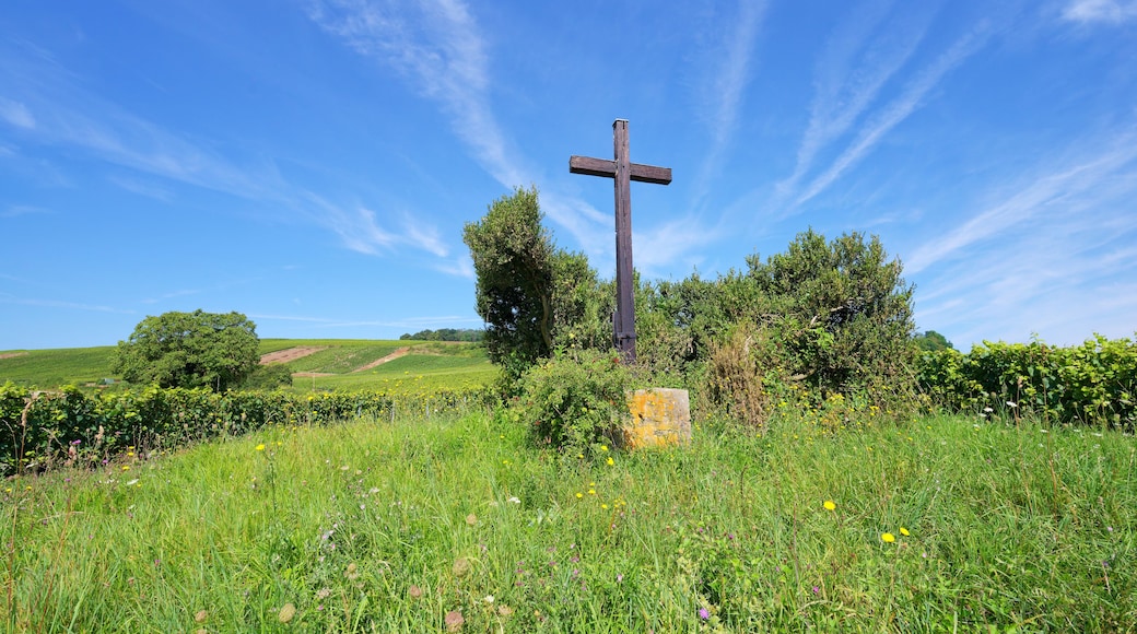 馬恩河畔埃索姆