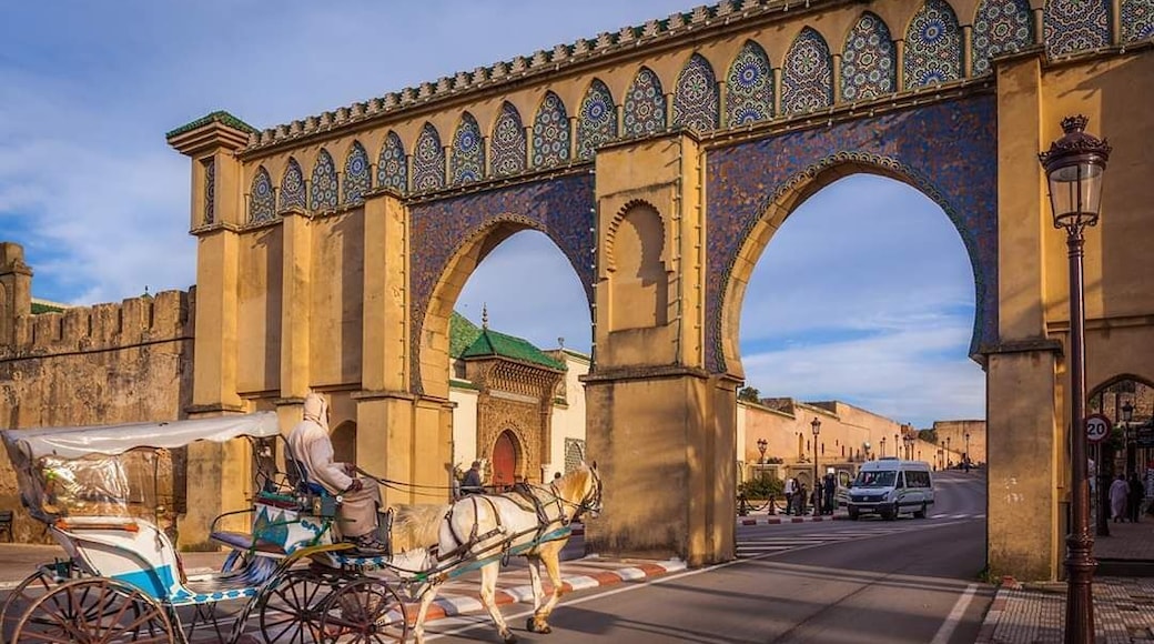 Sahara Holiday Tours is a Travel agency from Morocco