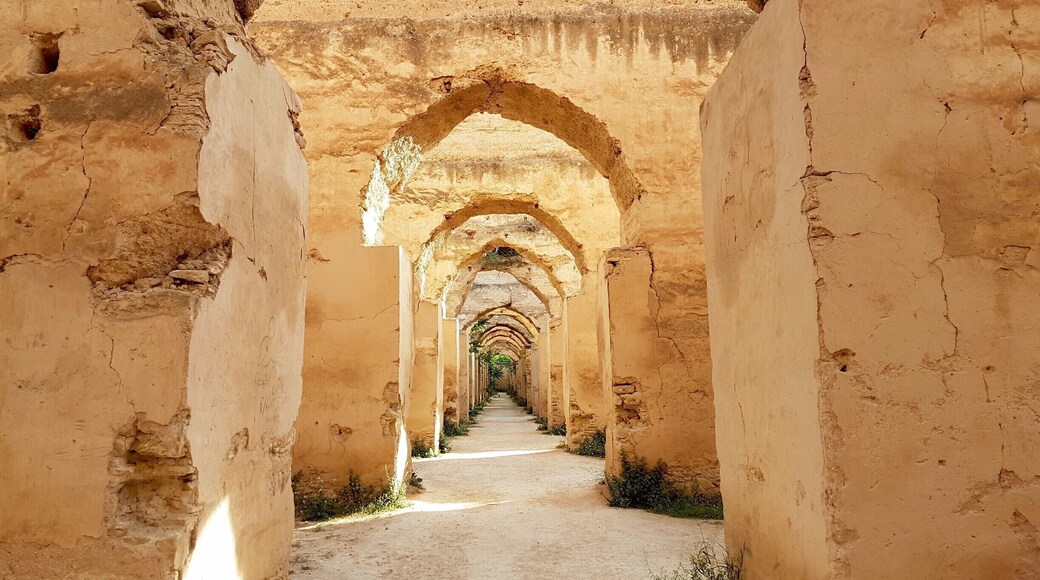 It's quite a walk from the medina, and when you first walk inside it doesn't seem to impressive. But the longer you stay, the more impressive it does become.
Wander through the large halls, admire the architecture and head out back to the long rows of stables...it's a cool place to spend an hour.
#meknes #morocco #thingstodo