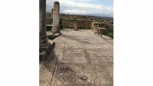 If those are shadows, the sun must be somewhere! A break in the rain...