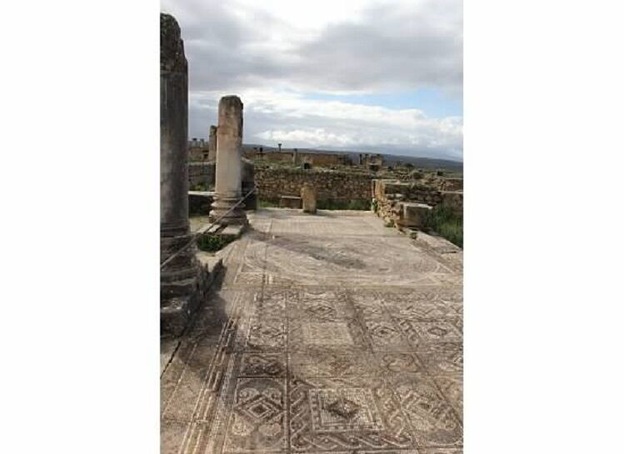 If those are shadows, the sun must be somewhere!  A break in the rain...