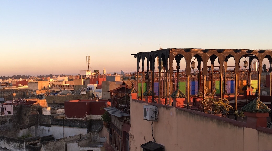 I simply love Morocco. Everything is so colorful. Rooftop of our Riad in Meknès from last years’ trip.
#UrbanJungle
#Meknes
#Morocco