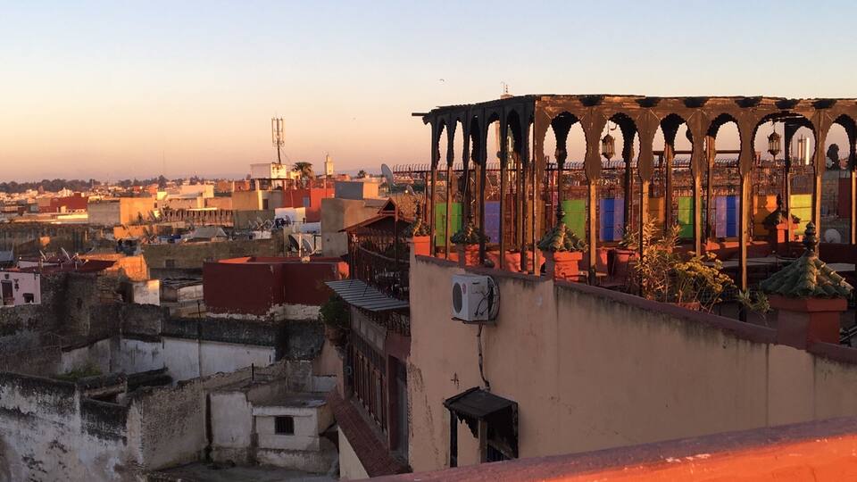 I simply love Morocco. Everything is so colorful. Rooftop of our Riad in Meknès from last years’ trip.
#UrbanJungle
#Meknes
#Morocco