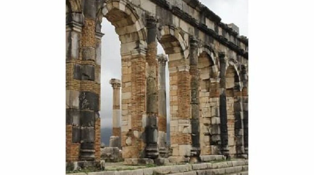 Volubilis is a Roman ruin site dating to 25 BC. It had rained all day, but we were blessed with about 75 minutes of dry weather while we were there. The site is surprisingly unguarded.