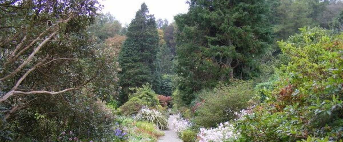 Un chemin de gravier bordé d’une végétation luxuriante et de plantes en fleurs.