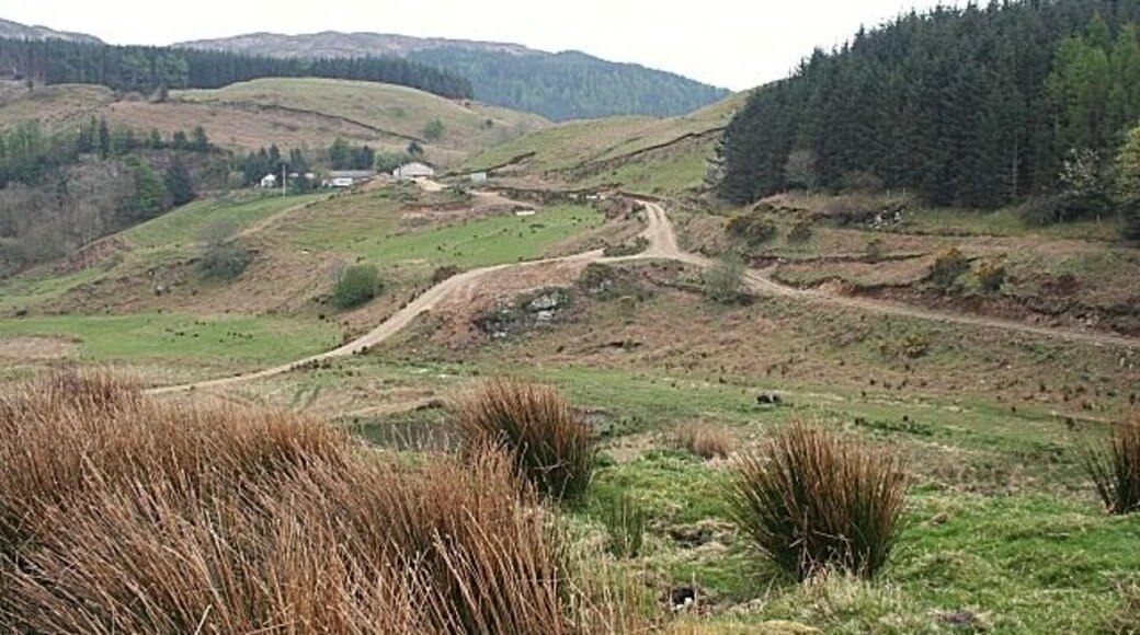 Arduaine Farm The new roads leading down to the shore from Arduaine Farm are like raw gashes in the green landscape. The one on the left leads to a jetty in use by an inshore fishing boat, and on the right to another jetty which is not in use. The land is being grazed, if that is the correct term, by a small herd of black pigs. Taken from the small steep knoll by the shore.