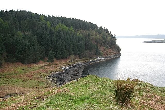 Arduaine Point. Below the trees is the track to the disused jetty, the continuation of the right-hand branch in 1271638. The extremity of Arduaine Point is beyond the conifer plantation. The land in the distance is the island of Luing.