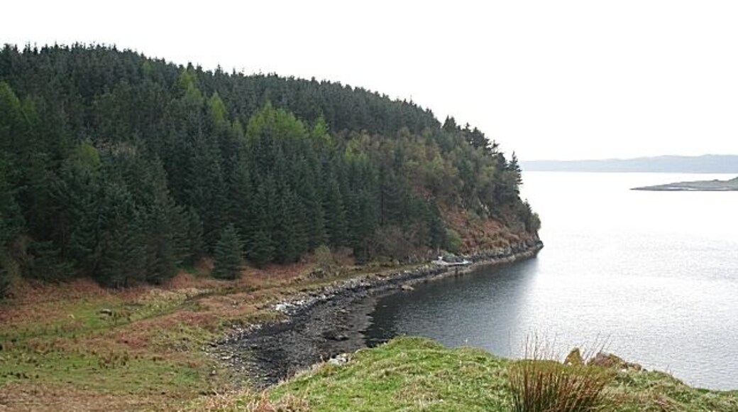 Arduaine Point. Below the trees is the track to the disused jetty, the continuation of the right-hand branch in 1271638. The extremity of Arduaine Point is beyond the conifer plantation. The land in the distance is the island of Luing.