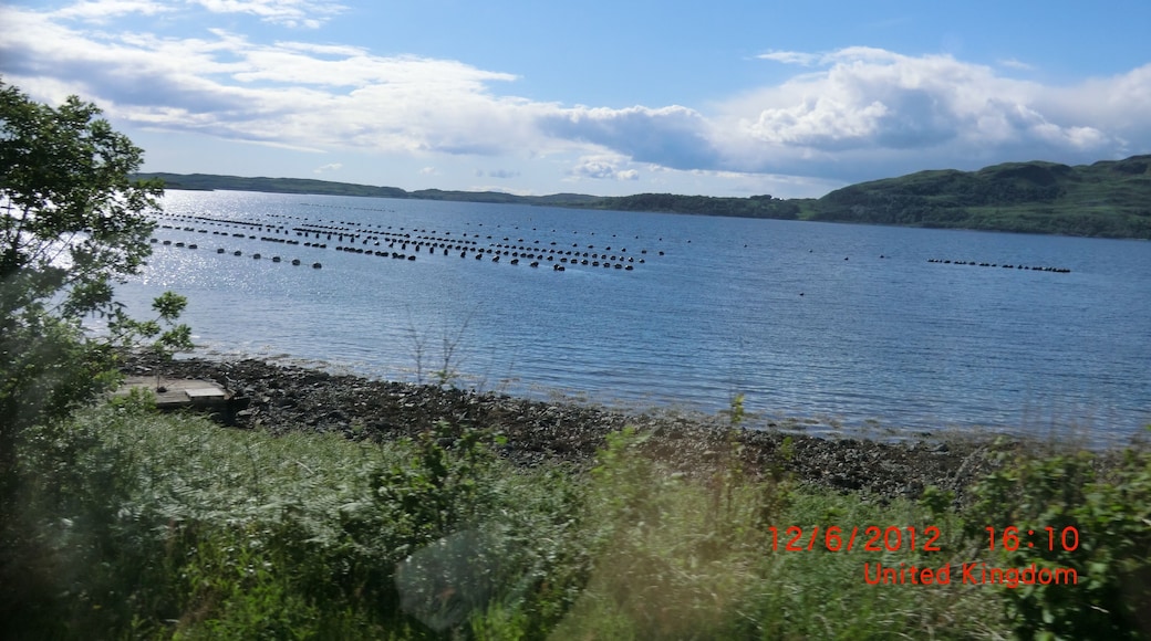 Loch Melfort Oyster Leases