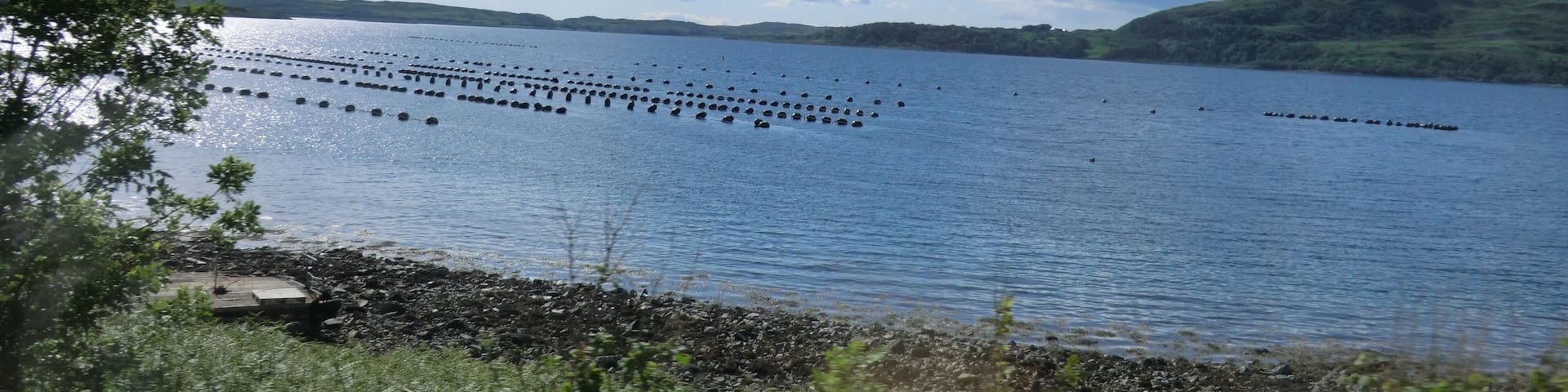 Loch Melfort Oyster Leases