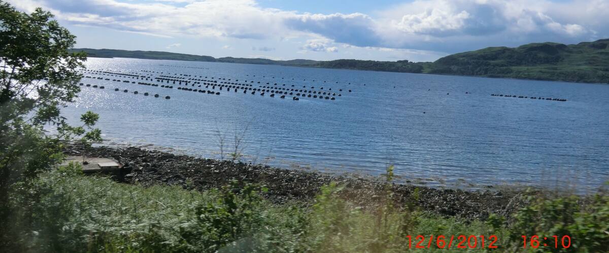A calm lake with floating buoys, surrounded by hills and greenery.