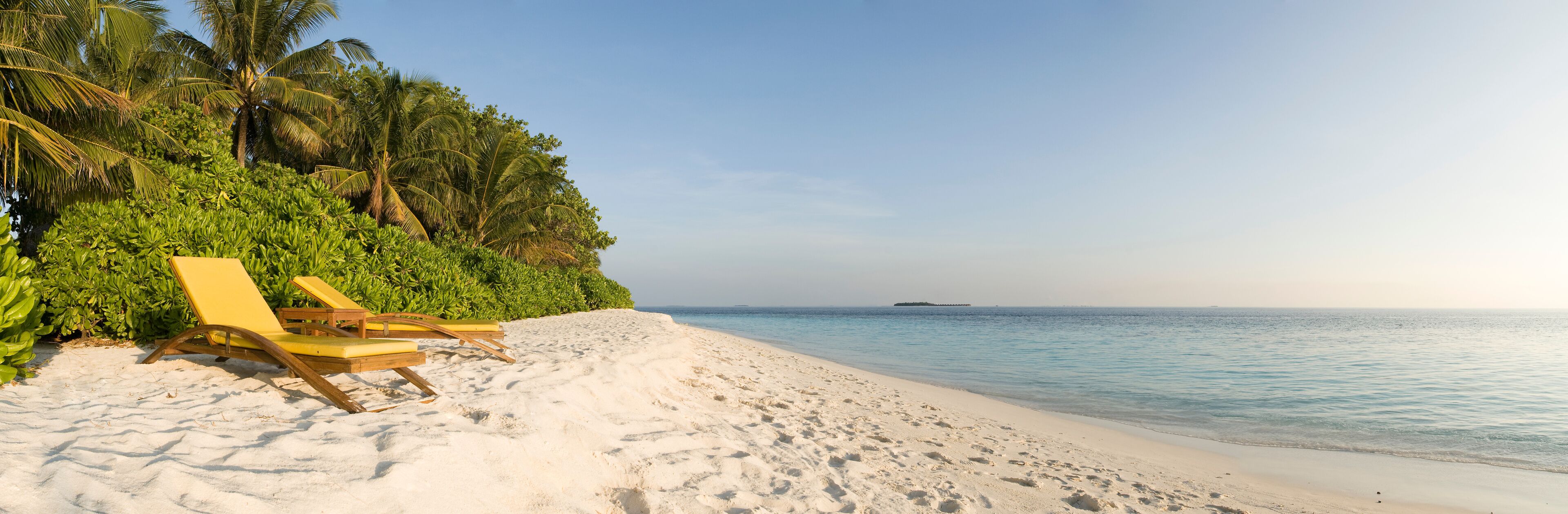 A sandy beach with palm trees and lounge chairs.