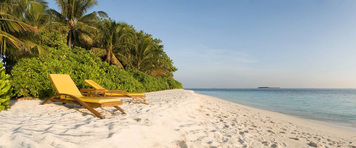 A sandy beach with palm trees and lounge chairs.
