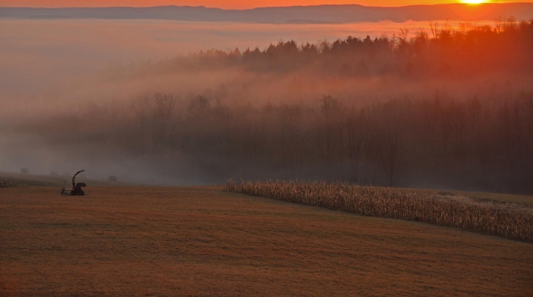 The view never got old