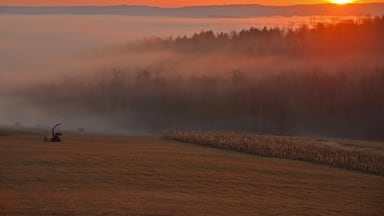 The view never got old