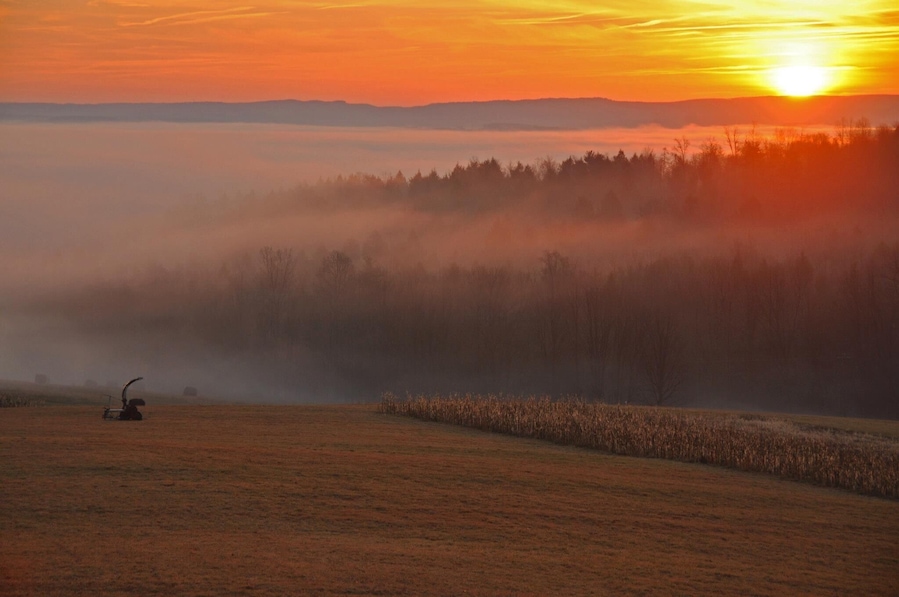 The view never got old