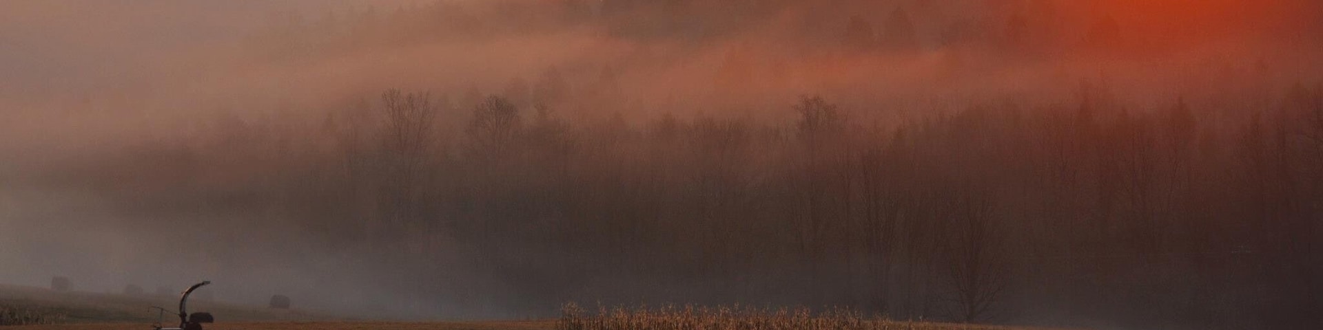 The view never got old