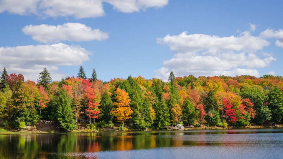 A lake surrounded by autumn-colored trees and a clear blue sky.
