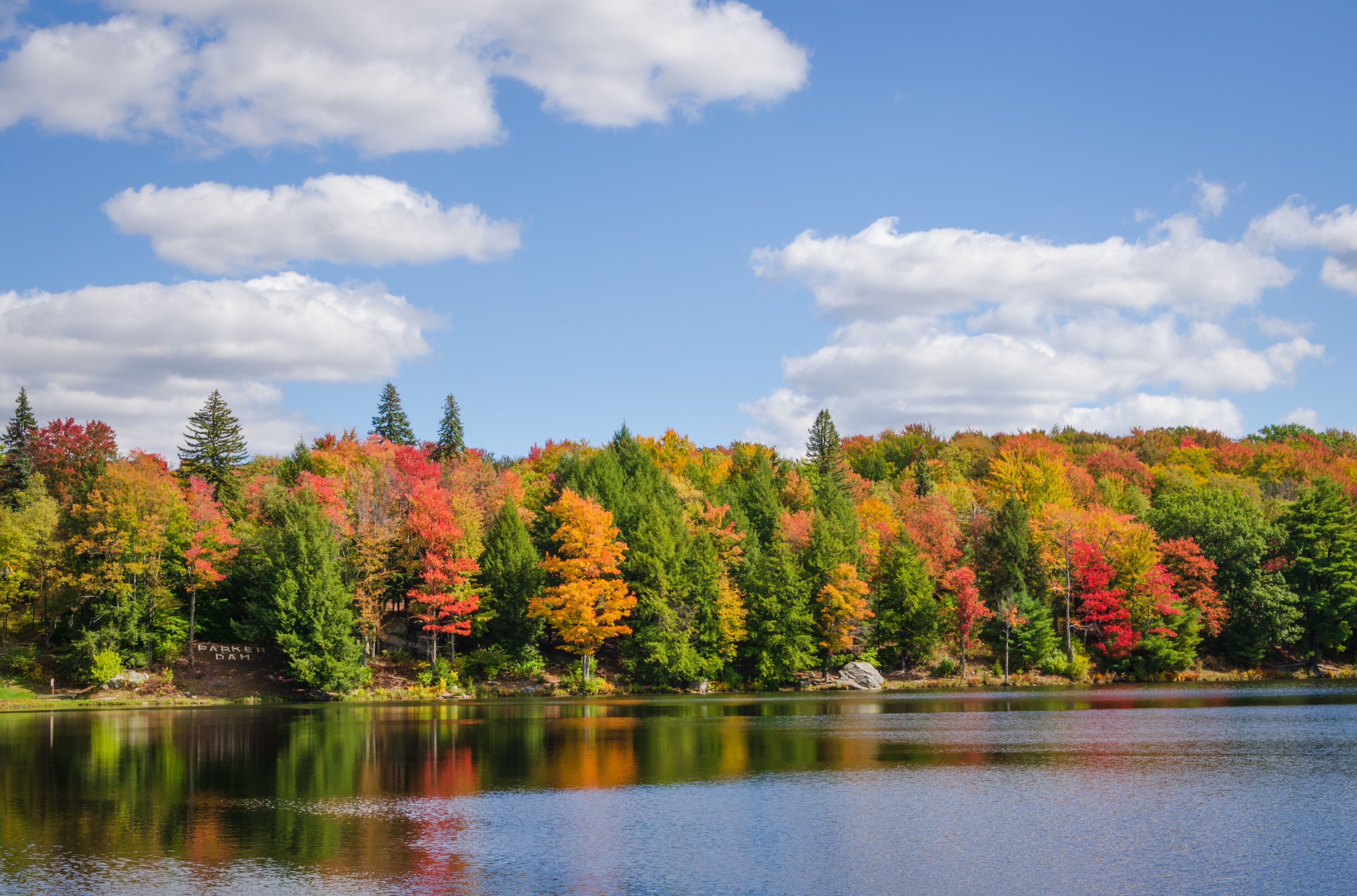 A lake surrounded by autumn-colored trees and a clear blue sky.