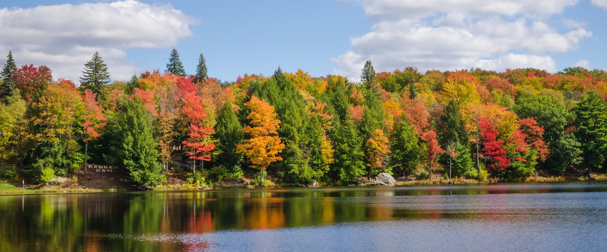 A lake surrounded by autumn-colored trees and a clear blue sky.