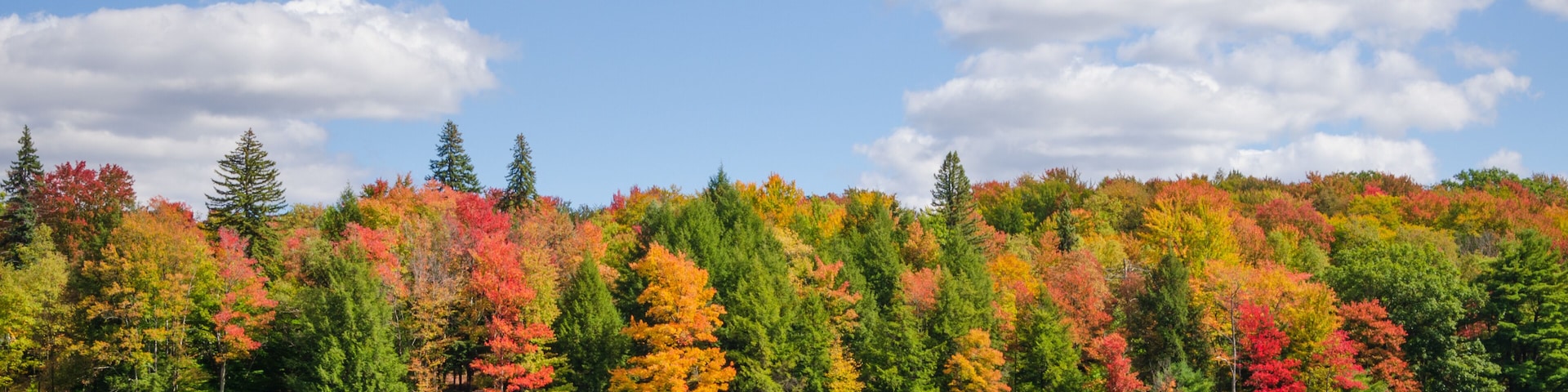 A lake surrounded by autumn-colored trees and a clear blue sky.