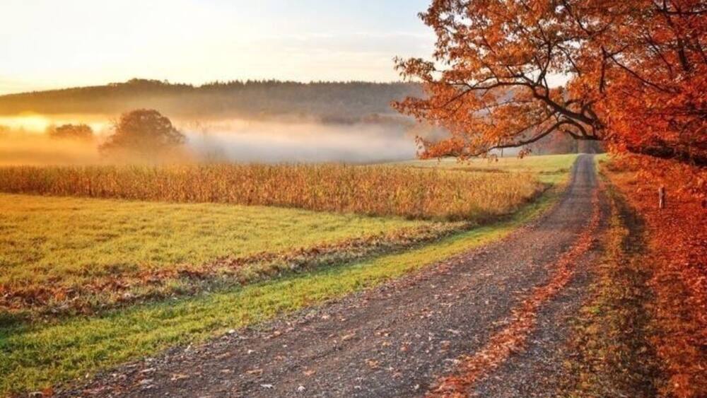 A rural road with autumn foliage, a misty field, and a distant hill.
