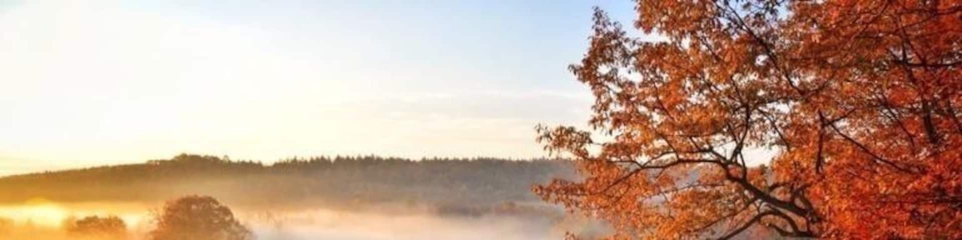 A rural road with autumn foliage, a misty field, and a distant hill.